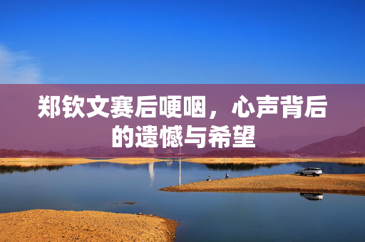 郑钦文赛后哽咽，心声背后的遗憾与希望