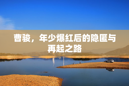 曹骏，年少爆红后的隐匿与再起之路