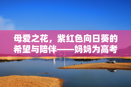 母爱之花，紫红色向日葵的希望与陪伴——妈妈为高考儿子种下的力量