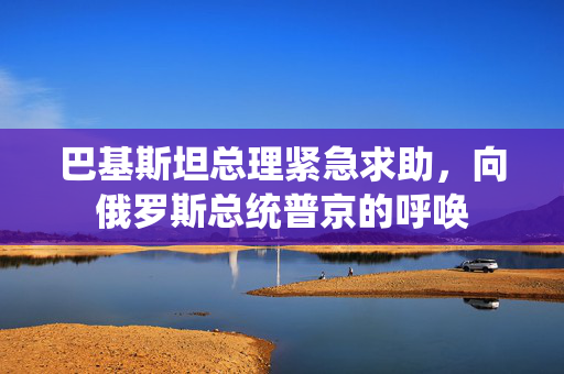 巴基斯坦总理紧急求助，向俄罗斯总统普京的呼唤
