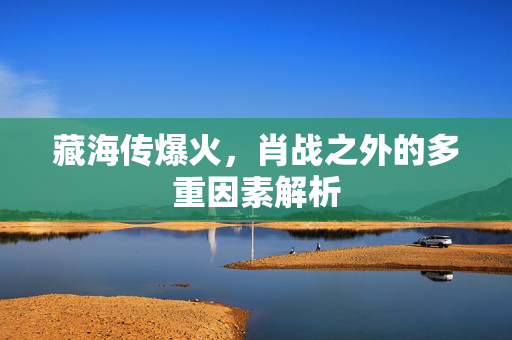 藏海传爆火，肖战之外的多重因素解析