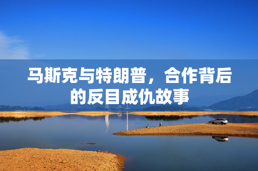 马斯克与特朗普，合作背后的反目成仇故事