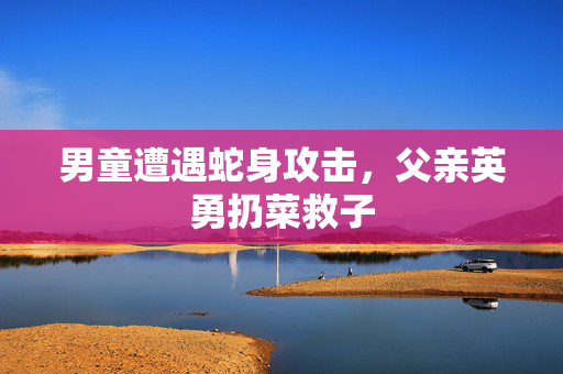 男童遭遇蛇身攻击，父亲英勇扔菜救子