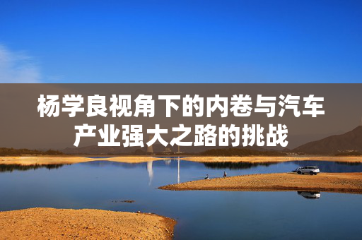 杨学良视角下的内卷与汽车产业强大之路的挑战