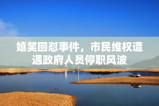 嬉笑回怼事件，市民维权遭遇政府人员停职风波