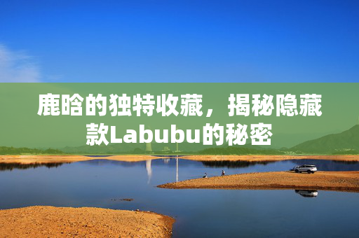 鹿晗的独特收藏，揭秘隐藏款Labubu的秘密