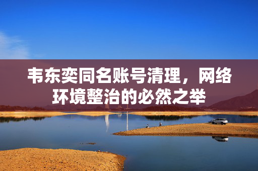 韦东奕同名账号清理，网络环境整治的必然之举