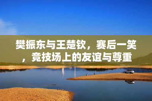 樊振东与王楚钦，赛后一笑，竞技场上的友谊与尊重