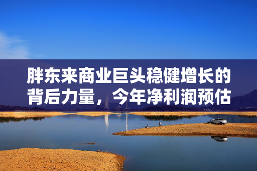 胖东来商业巨头稳健增长的背后力量，今年净利润预估达15亿元