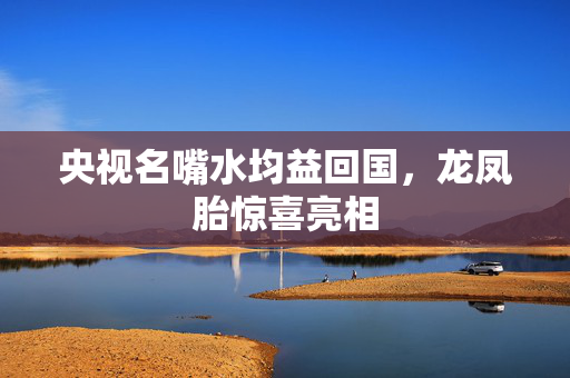央视名嘴水均益回国，龙凤胎惊喜亮相