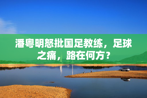 潘粤明怒批国足教练，足球之痛，路在何方？