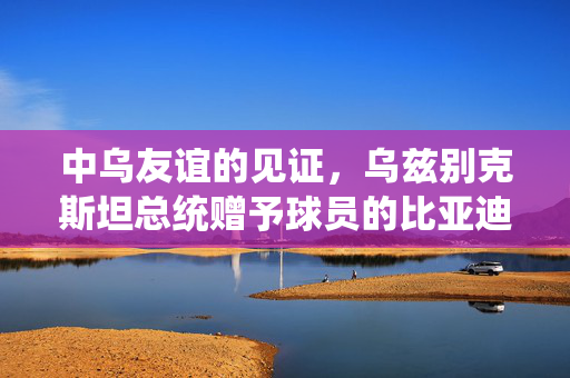 中乌友谊的见证，乌兹别克斯坦总统赠予球员的比亚迪汽车