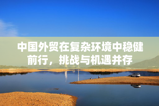 中国外贸在复杂环境中稳健前行，挑战与机遇并存
