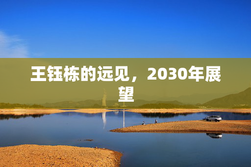 王钰栋的远见，2030年展望