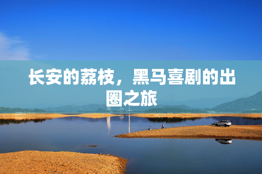 长安的荔枝，黑马喜剧的出圈之旅