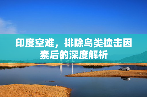 印度空难，排除鸟类撞击因素后的深度解析