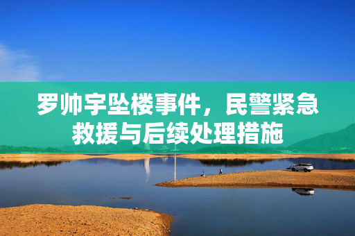 罗帅宇坠楼事件，民警紧急救援与后续处理措施