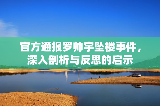 官方通报罗帅宇坠楼事件，深入剖析与反思的启示
