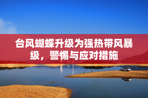 台风蝴蝶升级为强热带风暴级，警惕与应对措施
