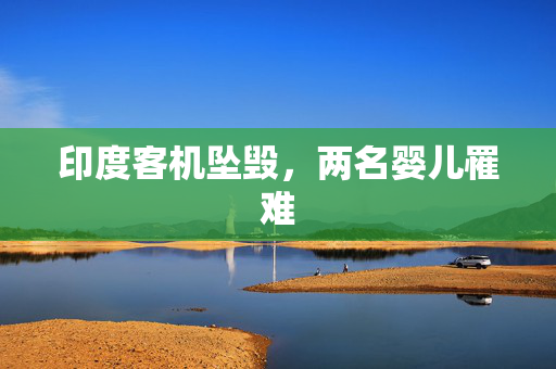印度客机坠毁，两名婴儿罹难