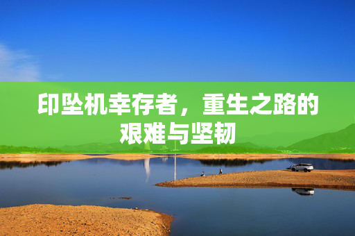 印坠机幸存者，重生之路的艰难与坚韧