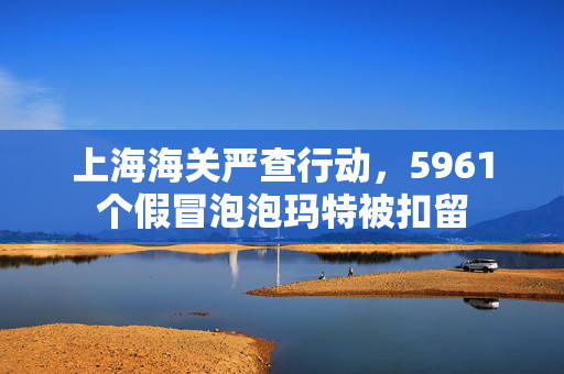 上海海关严查行动，5961个假冒泡泡玛特被扣留