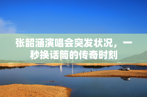 张韶涵演唱会突发状况，一秒换话筒的传奇时刻