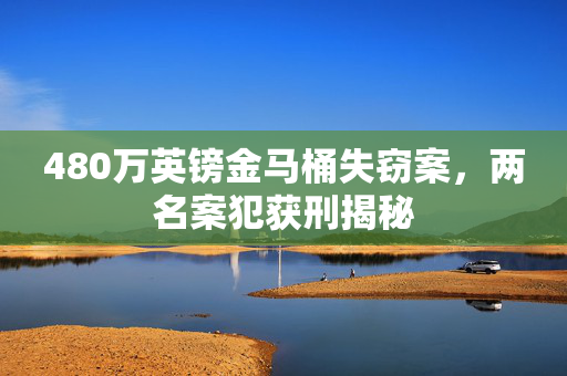 480万英镑金马桶失窃案，两名案犯获刑揭秘