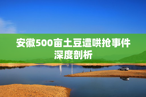 安徽500亩土豆遭哄抢事件深度剖析