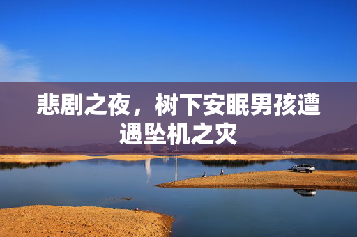 悲剧之夜，树下安眠男孩遭遇坠机之灾