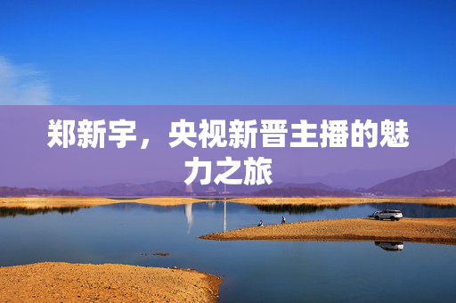 郑新宇，央视新晋主播的魅力之旅