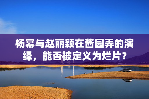 杨幂与赵丽颖在酱园弄的演绎，能否被定义为烂片？