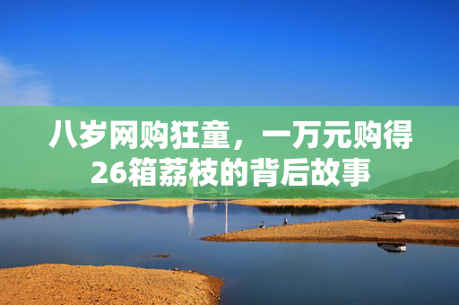 八岁网购狂童，一万元购得26箱荔枝的背后故事
