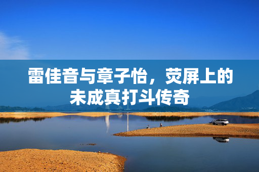 雷佳音与章子怡，荧屏上的未成真打斗传奇