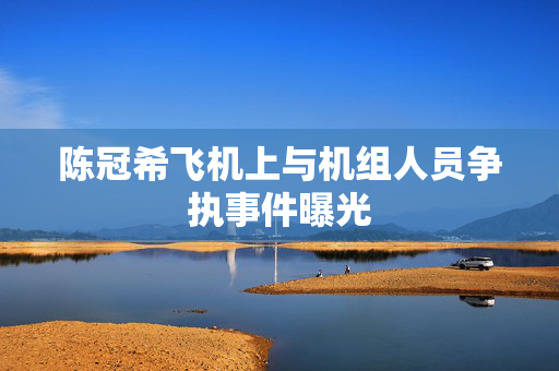 陈冠希飞机上与机组人员争执事件曝光