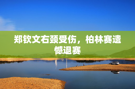 郑钦文右颈受伤，柏林赛遗憾退赛