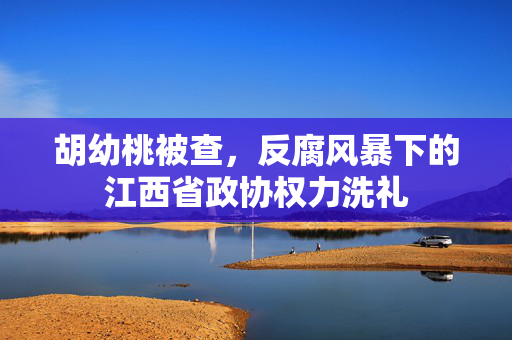 胡幼桃被查，反腐风暴下的江西省政协权力洗礼