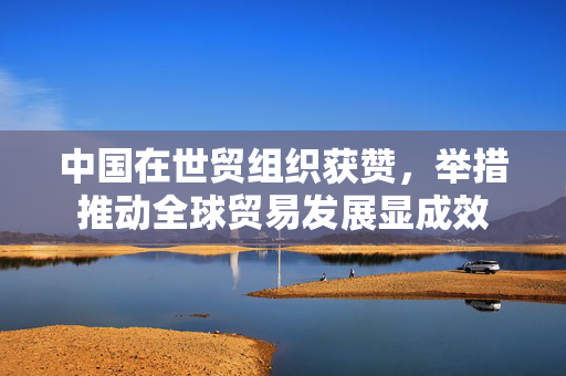 中国在世贸组织获赞，举措推动全球贸易发展显成效