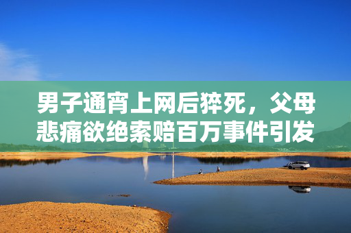 男子通宵上网后猝死，父母悲痛欲绝索赔百万事件引发关注