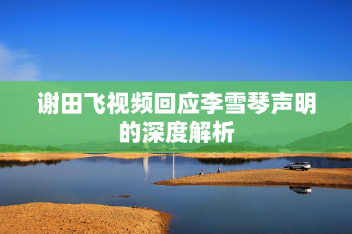 谢田飞视频回应李雪琴声明的深度解析