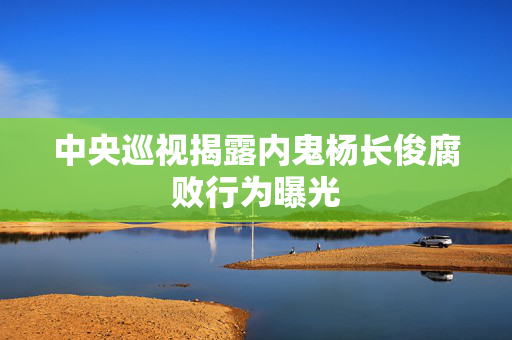 中央巡视揭露内鬼杨长俊腐败行为曝光