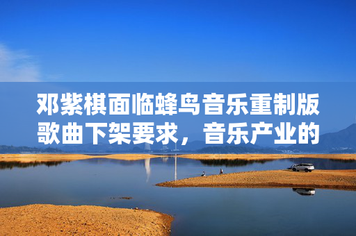 邓紫棋面临蜂鸟音乐重制版歌曲下架要求，音乐产业的一次重要调整