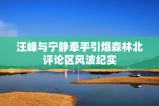 汪峰与宁静牵手引爆森林北评论区风波纪实