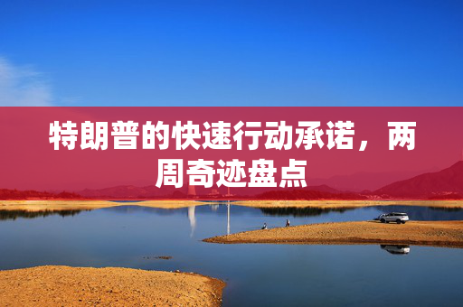特朗普的快速行动承诺，两周奇迹盘点