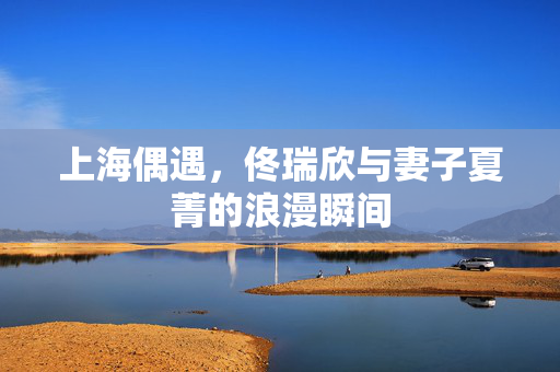 上海偶遇，佟瑞欣与妻子夏菁的浪漫瞬间