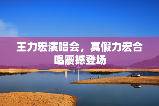 王力宏演唱会，真假力宏合唱震撼登场