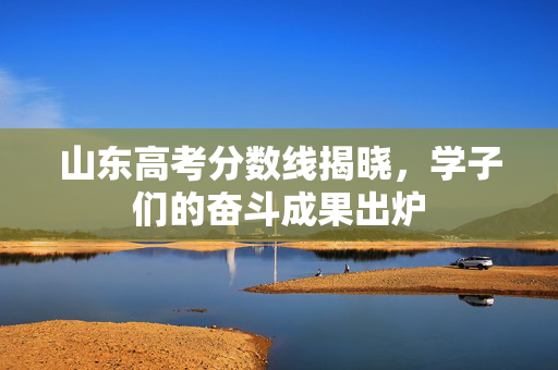 山东高考分数线揭晓，学子们的奋斗成果出炉