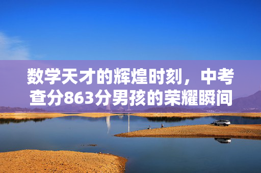 数学天才的辉煌时刻，中考查分863分男孩的荣耀瞬间