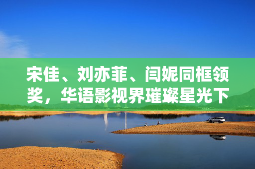 宋佳、刘亦菲、闫妮同框领奖，华语影视界璀璨星光下的盛景