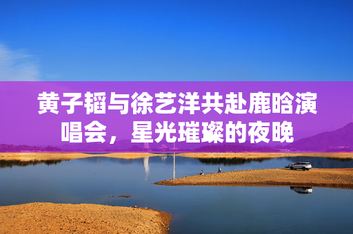 黄子韬与徐艺洋共赴鹿晗演唱会，星光璀璨的夜晚